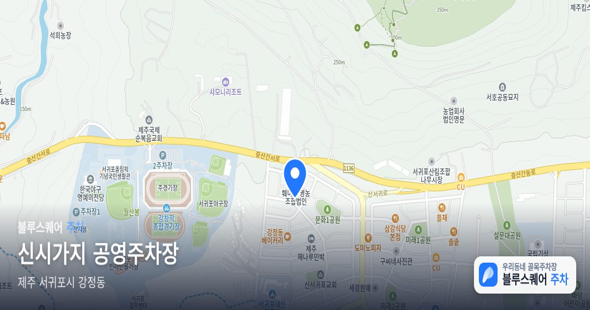 신시가지 공영주차장 위치 지도