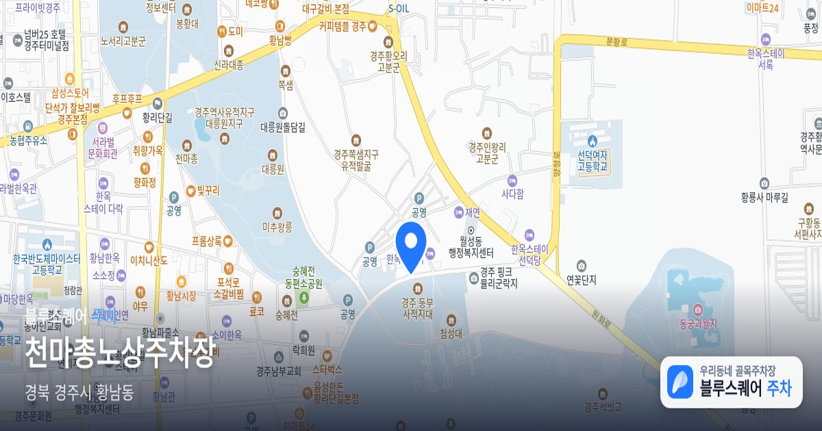 천마총노상주차장 위치 지도