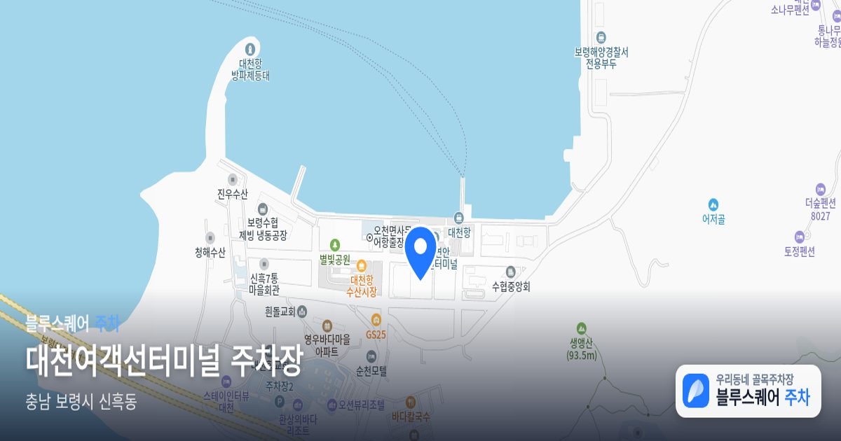 대천여객선터미널 주차장 위치 지도