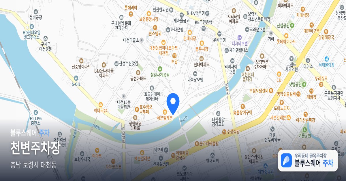 천변주차장 위치 지도