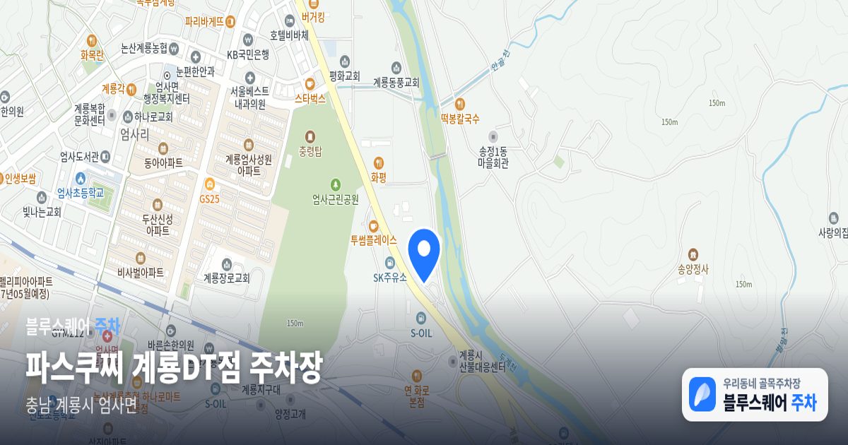 파스쿠찌 계룡DT점 주차장 위치 지도