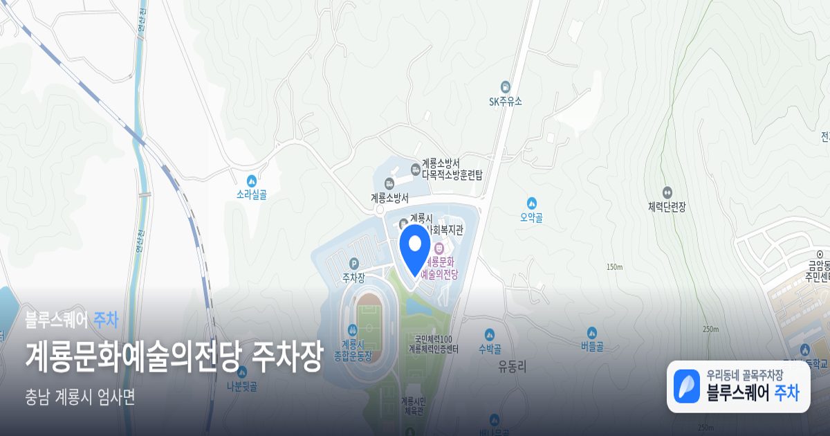 계룡문화예술의전당 주차장 위치 지도