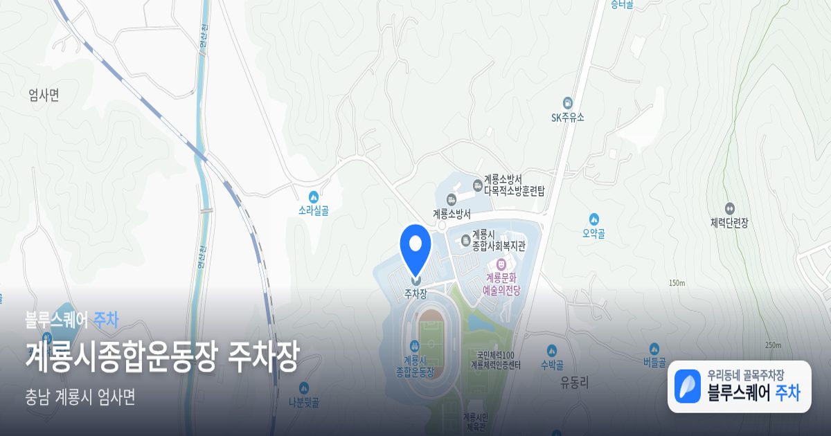 계룡시종합운동장 주차장 위치 지도