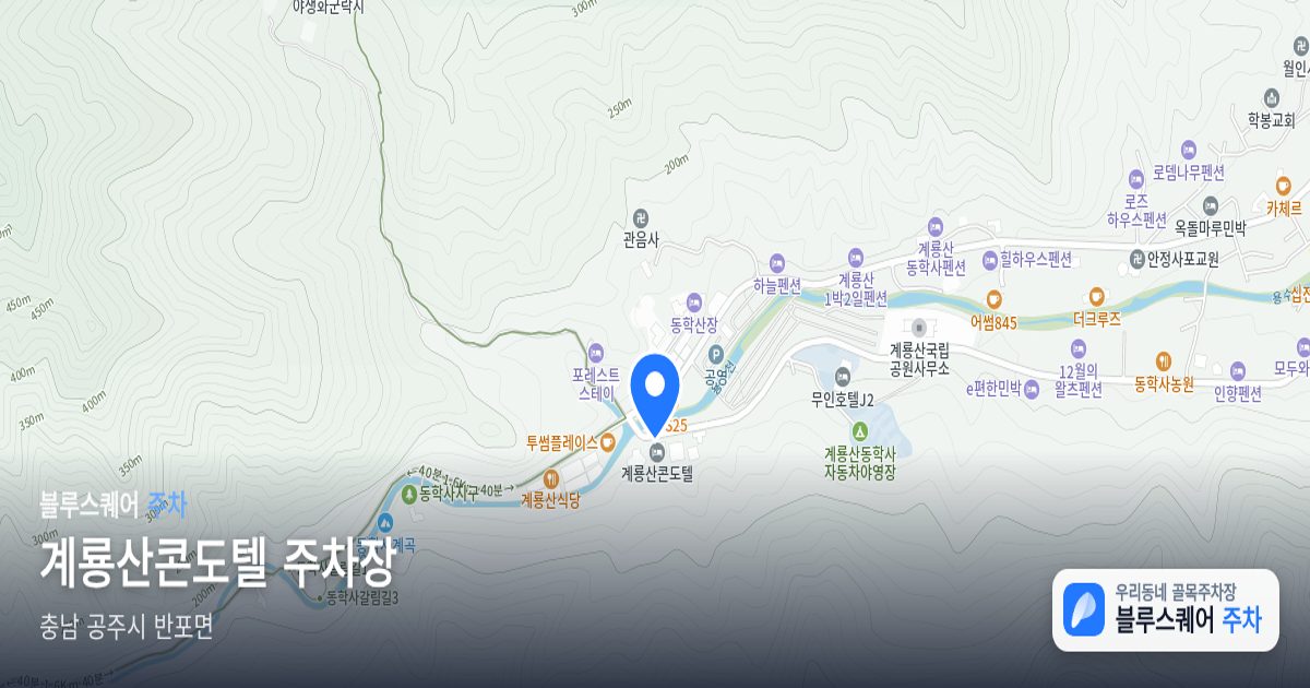 계룡산콘도텔 주차장 위치 지도