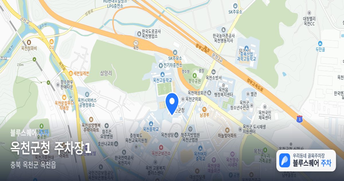 옥천군청 주차장1 위치 지도