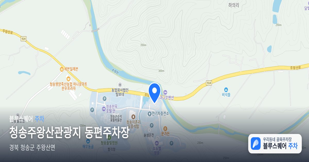 청송주왕산관광지 동편주차장 위치 지도