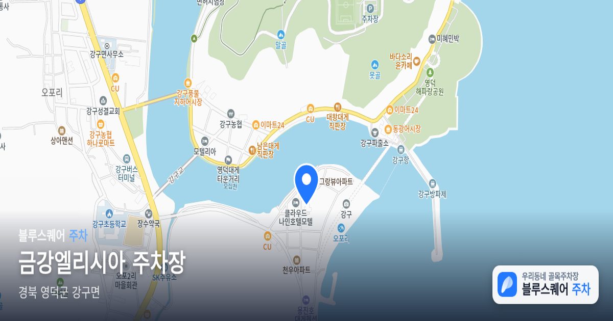 금강엘리시아 주차장 위치 지도