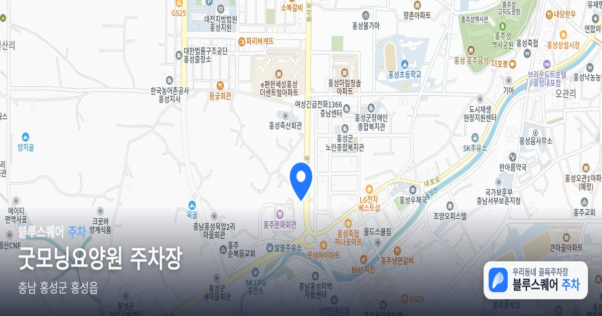 굿모닝요양원 주차장 위치 지도