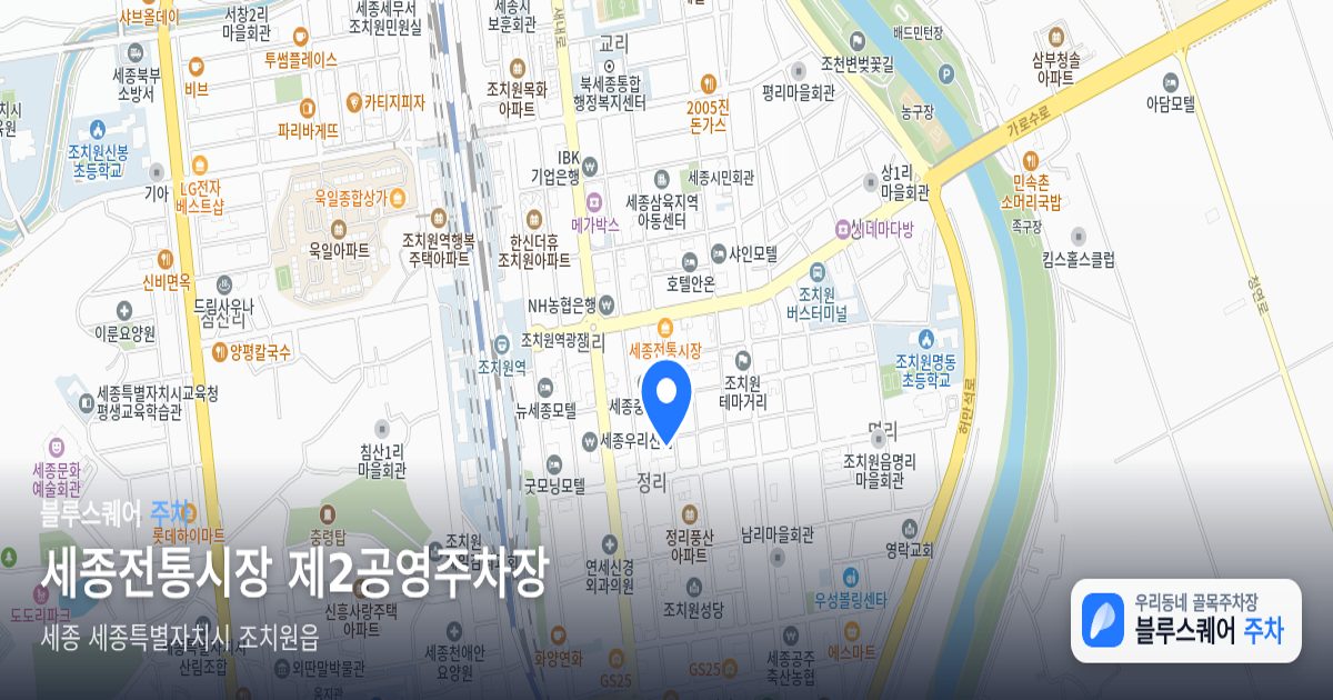 세종전통시장 제2공영주차장 위치 지도