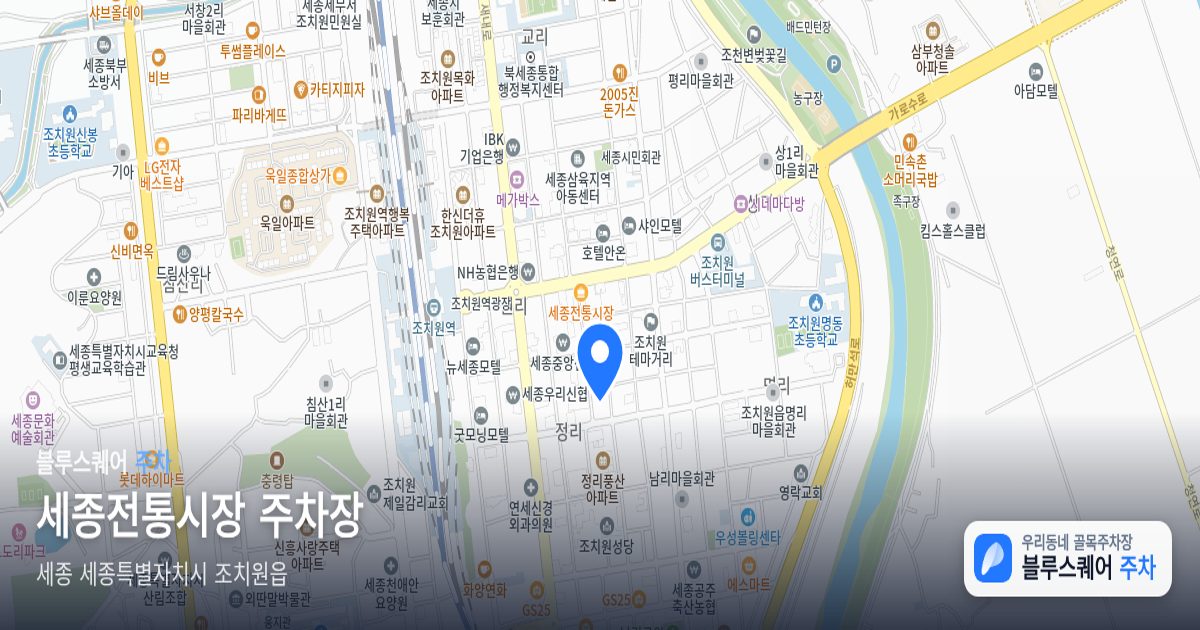 세종전통시장 주차장 위치 지도