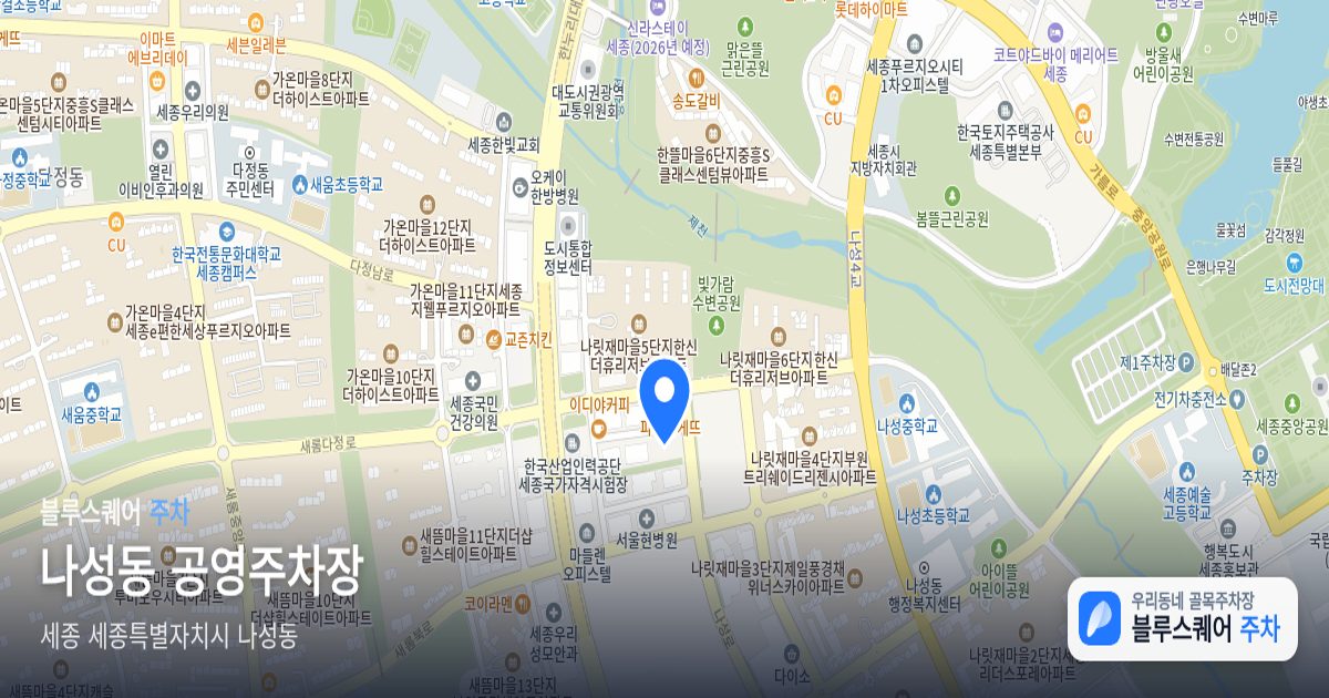 나성동 공영주차장 위치 지도