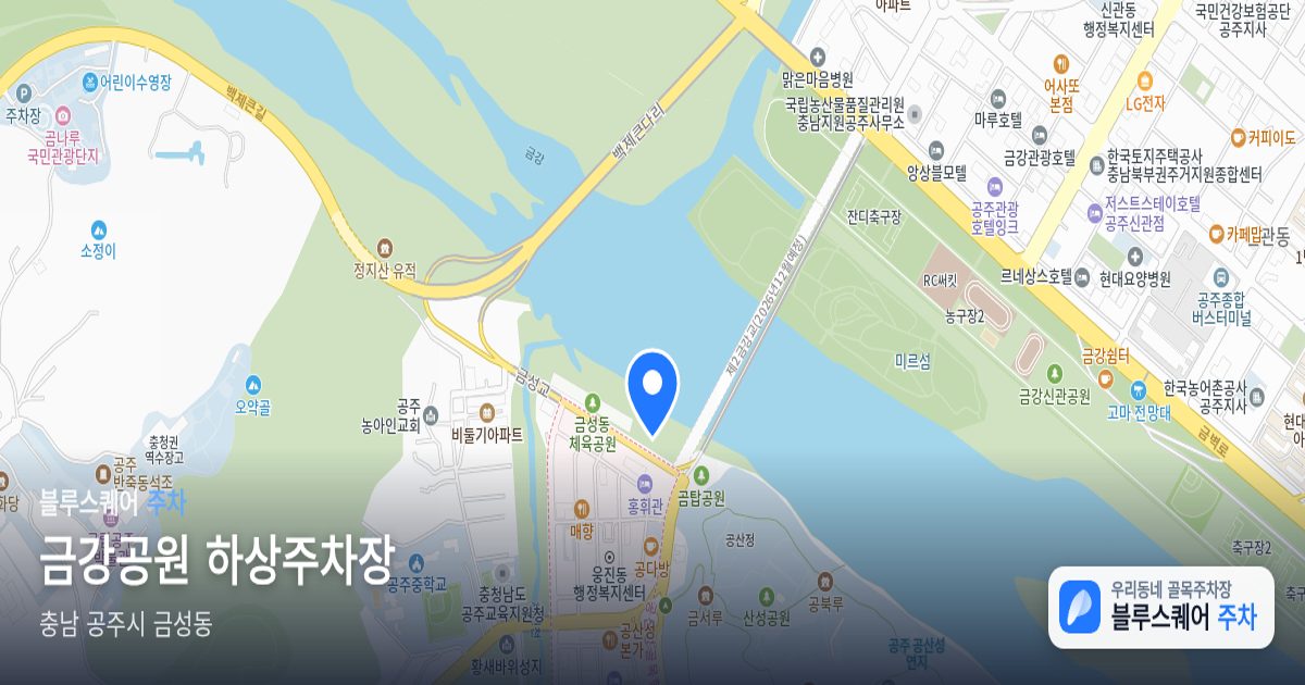 금강공원 하상주차장 위치 지도