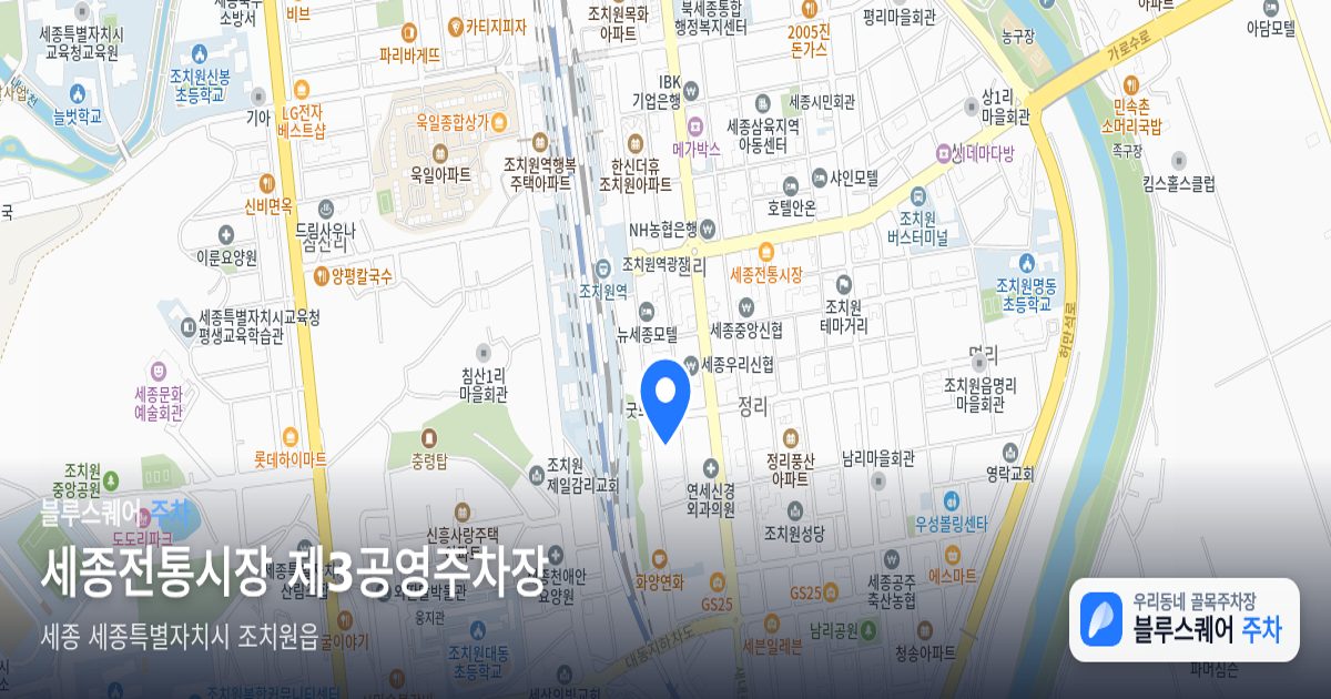 세종전통시장 제3공영주차장 위치 지도