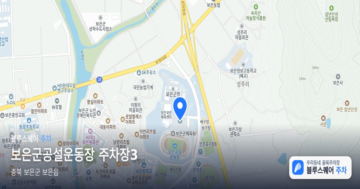 보은군공설운동장 주차장3 위치 지도