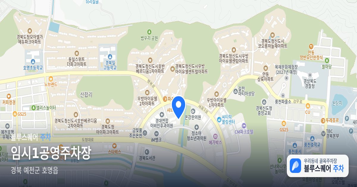 임시1공영주차장 위치 지도