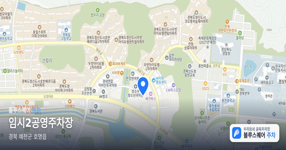 임시2공영주차장 위치 지도