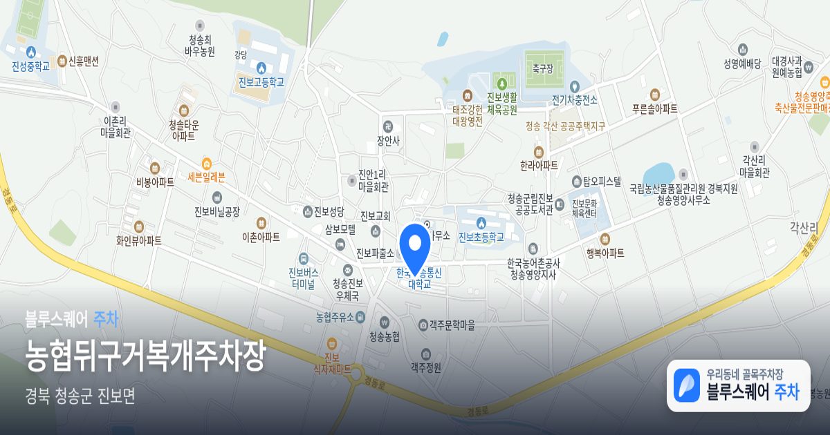 농협뒤구거복개주차장 위치 지도