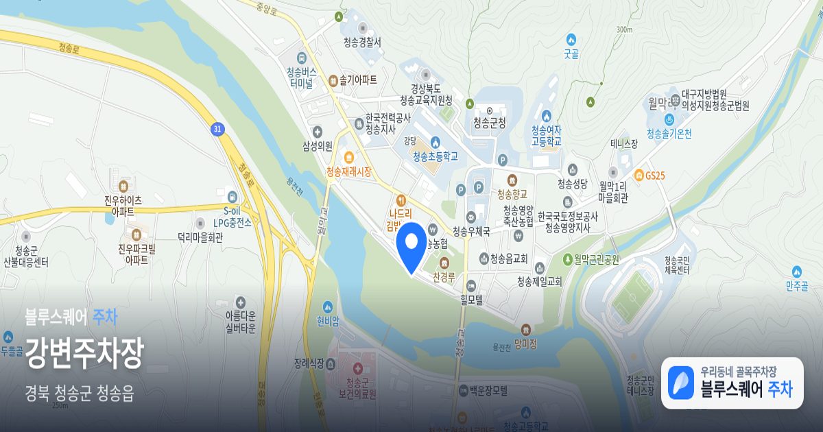 강변주차장 위치 지도
