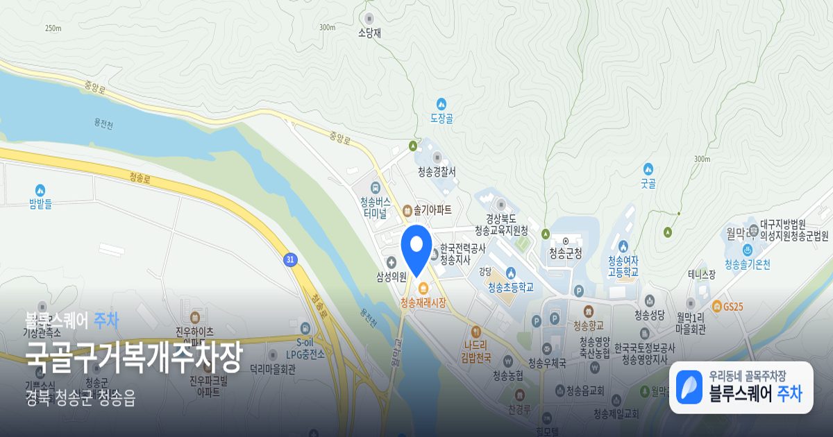 국골구거복개주차장 위치 지도