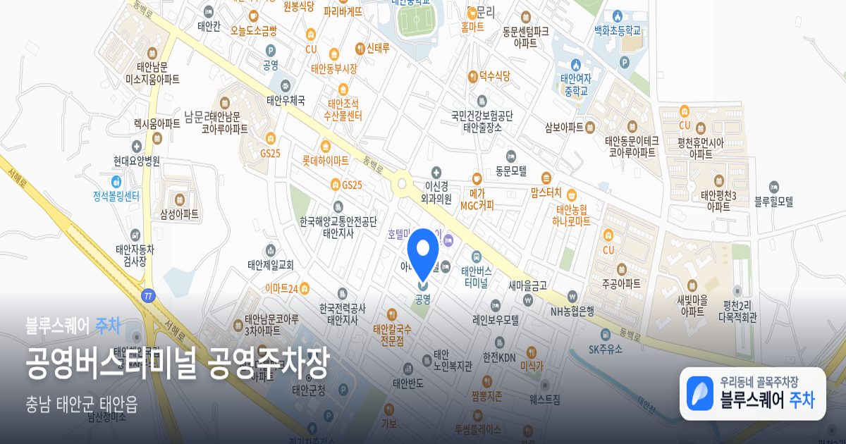 공영버스터미널 공영주차장 위치 지도