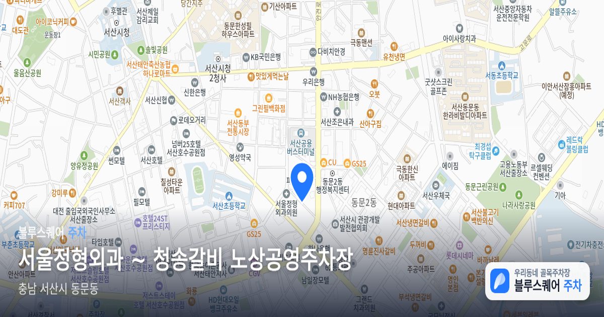 서울정형외과 ~ 청송갈비 노상공영주차장 위치 지도