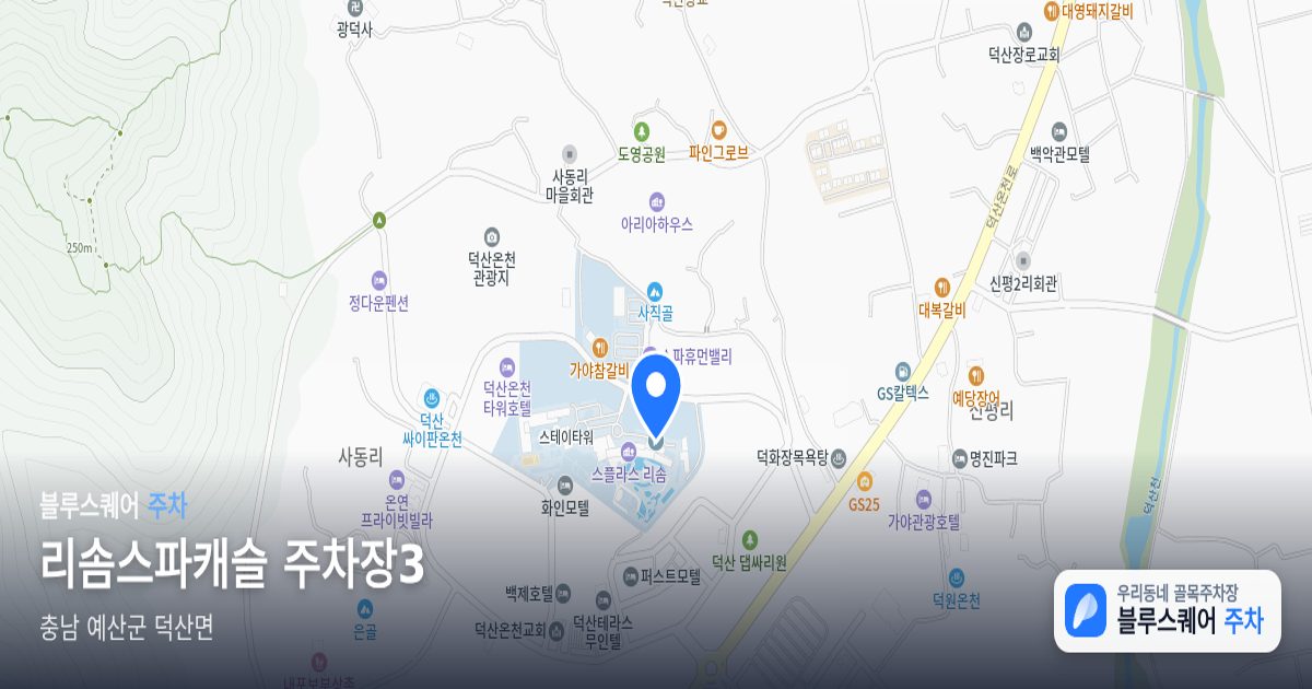 리솜스파캐슬 주차장3 위치 지도