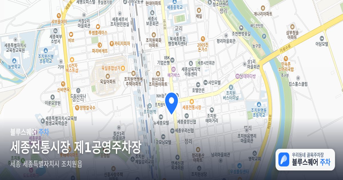 세종전통시장 제1공영주차장 위치 지도