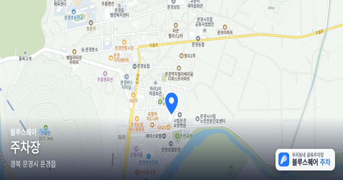 주차장 위치 지도
