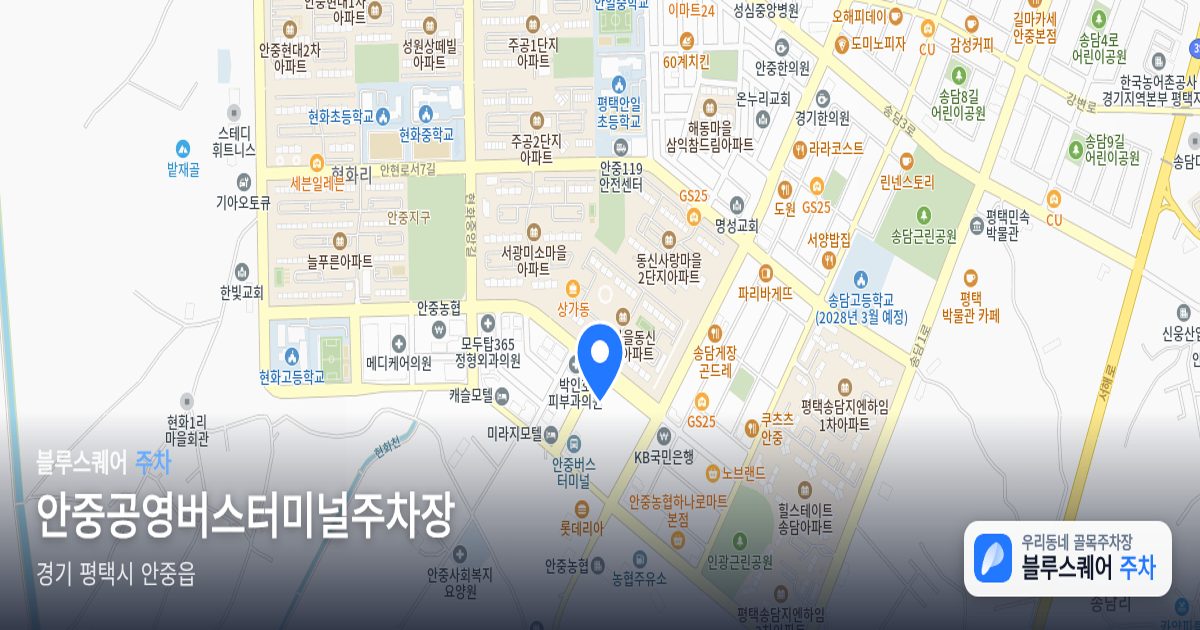 안중공영버스터미널주차장 위치 지도