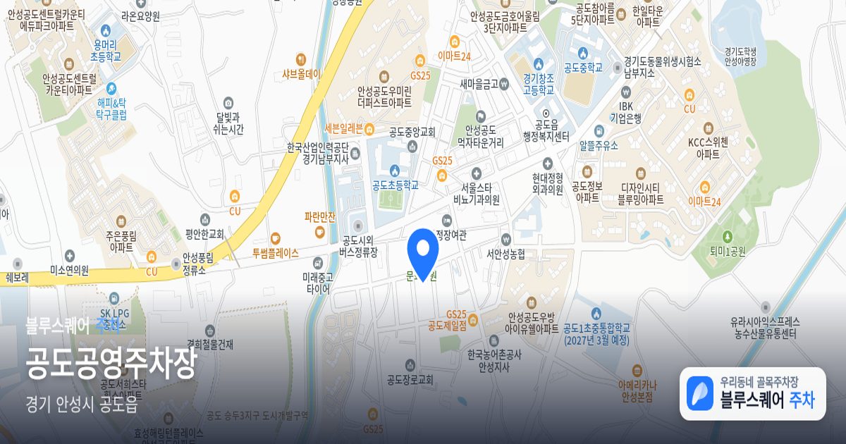 공도공영주차장 위치 지도