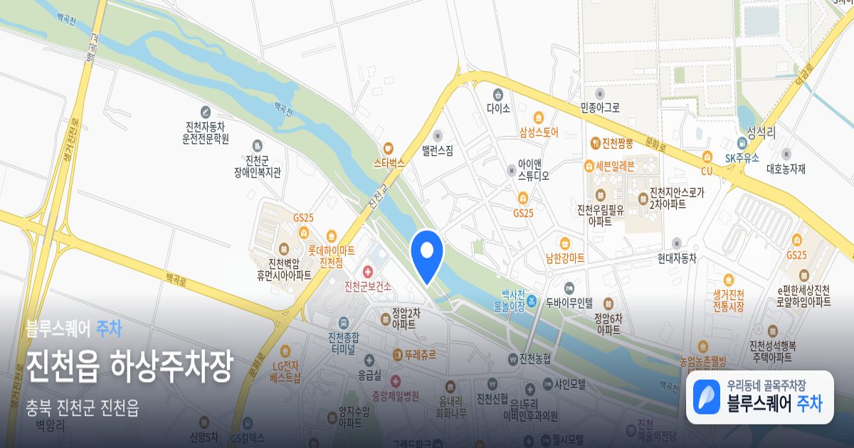 진천읍 하상주차장 위치 지도