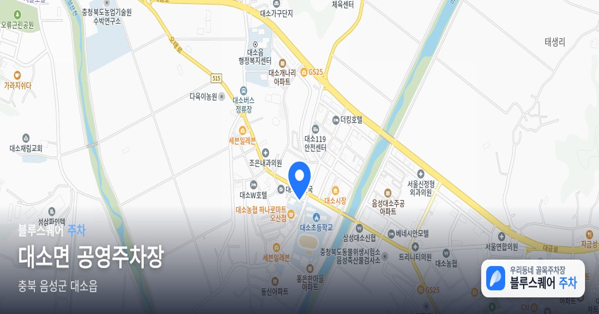 대소면 공영주차장 위치 지도