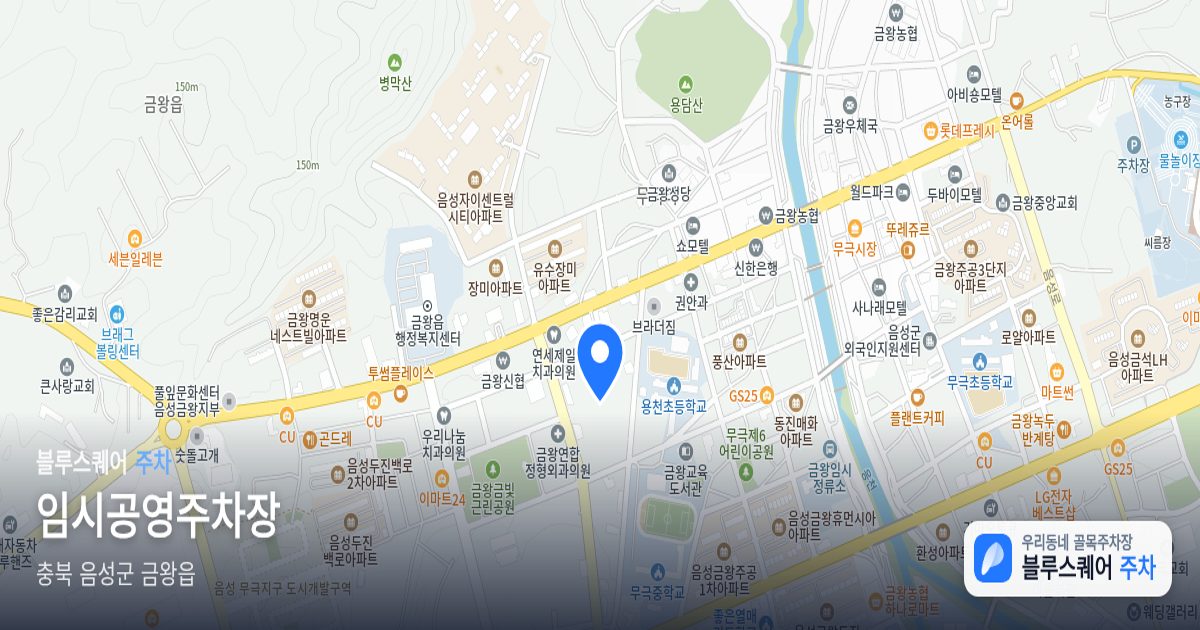 임시공영주차장 위치 지도