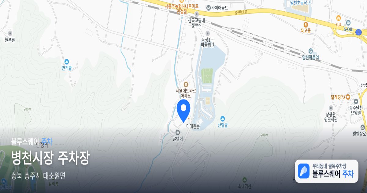 병천시장 주차장 위치 지도