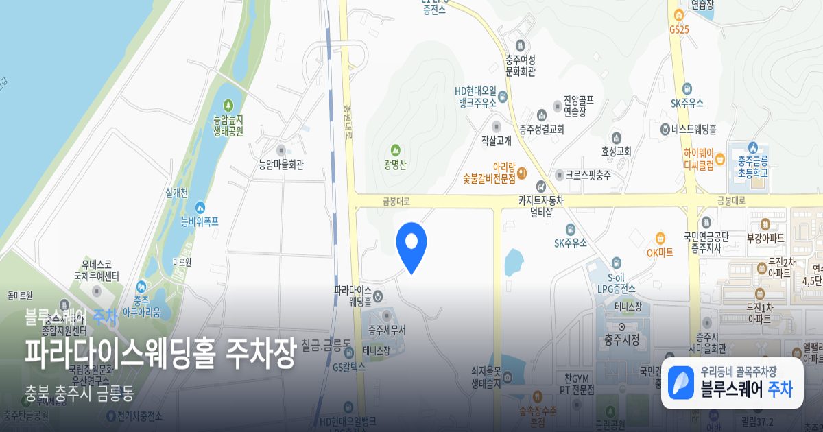 파라다이스웨딩홀 주차장 위치 지도