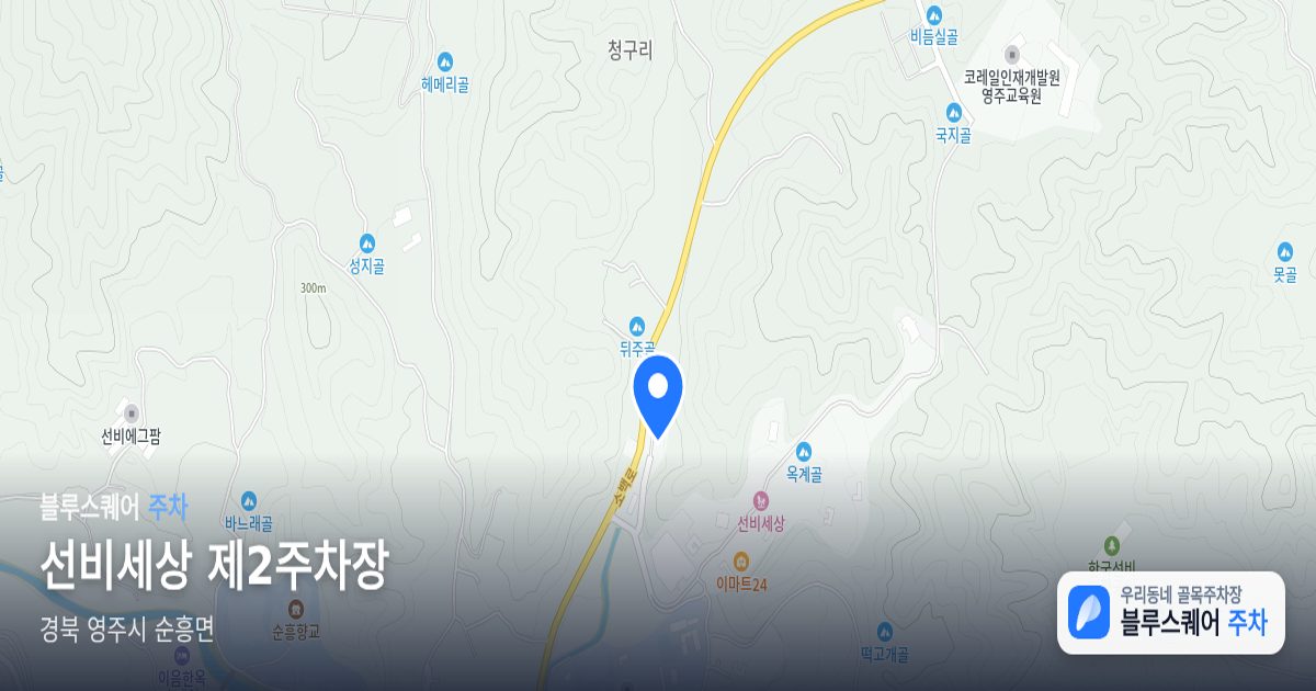 선비세상 제2주차장 위치 지도