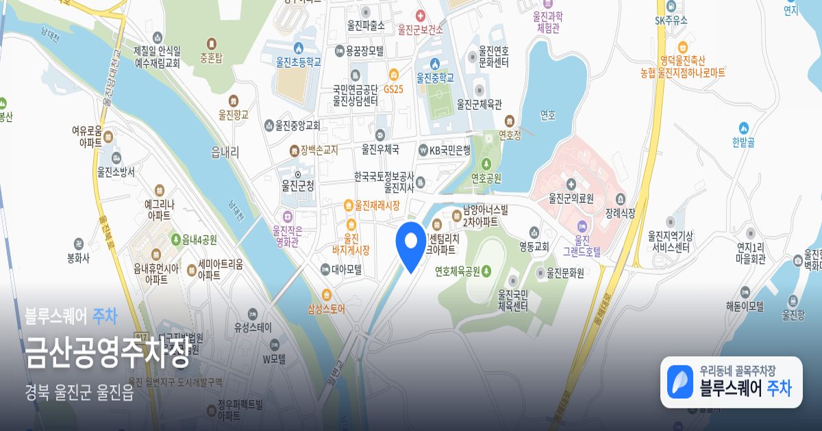 금산공영주차장 위치 지도