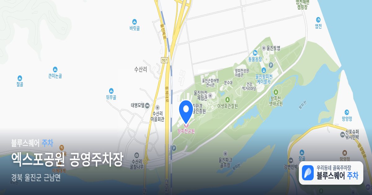 엑스포공원 공영주차장 위치 지도