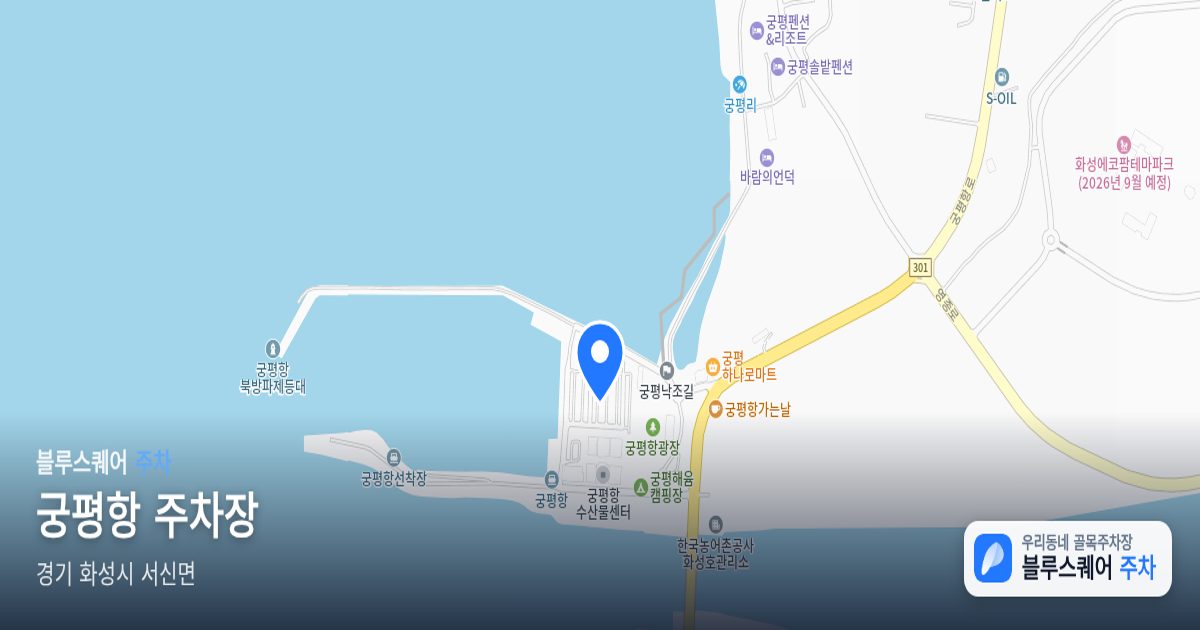 궁평항 주차장 위치 지도