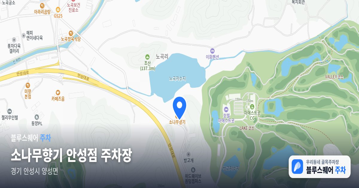소나무향기 안성점 주차장 위치 지도