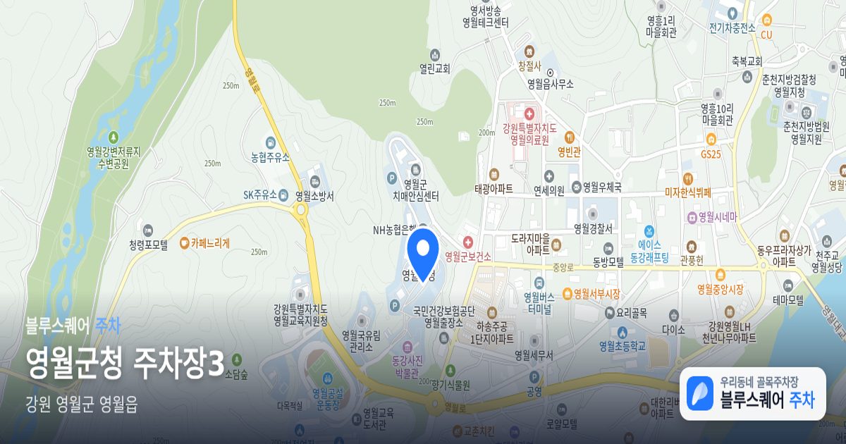 영월군청 주차장3 위치 지도