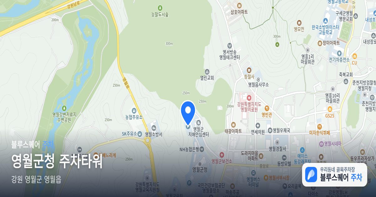영월군청 주차타워 위치 지도