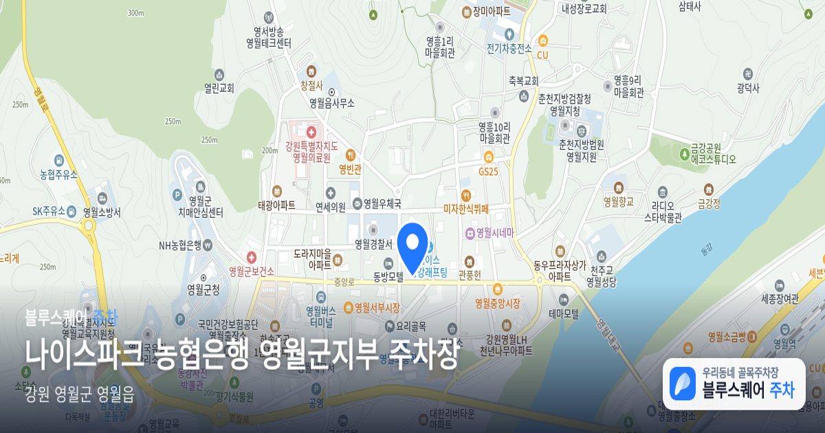 나이스파크 농협은행 영월군지부 주차장 위치 지도