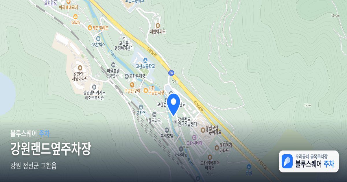 강원랜드옆주차장 위치 지도