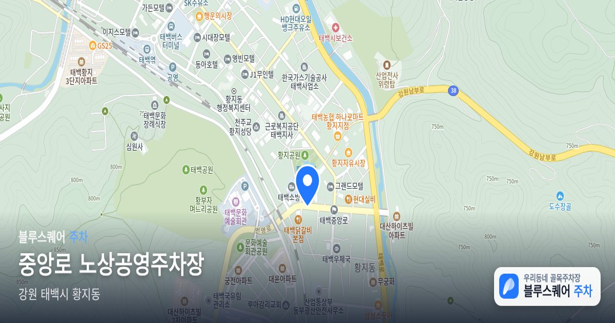 중앙로 노상공영주차장 위치 지도