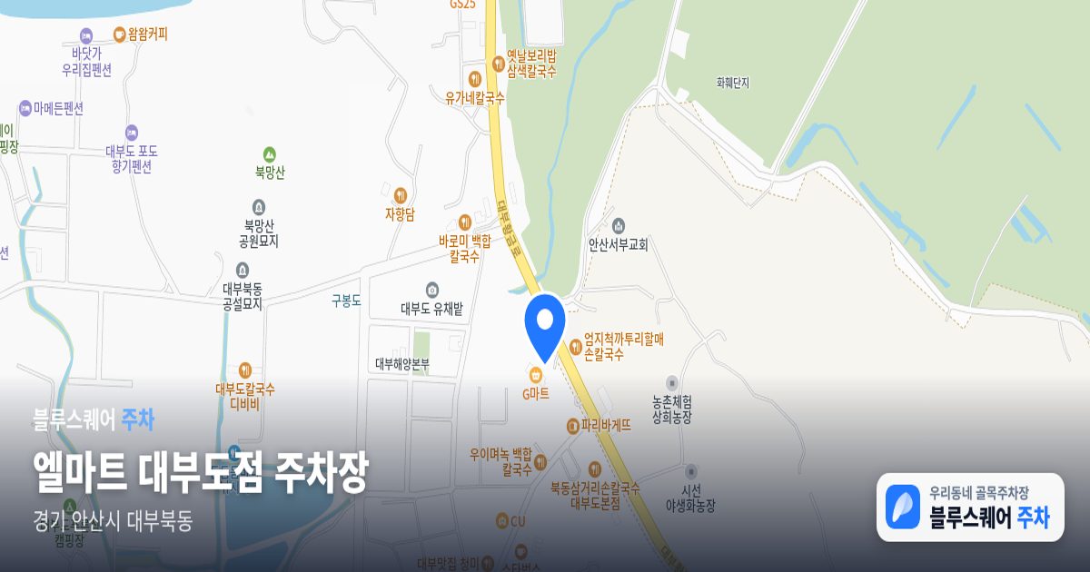 엘마트 대부도점 주차장 위치 지도