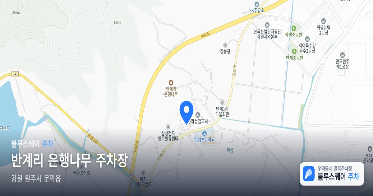 반계리 은행나무 주차장 위치 지도