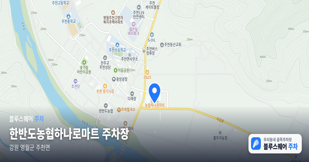 한반도농협하나로마트 주차장 위치 지도