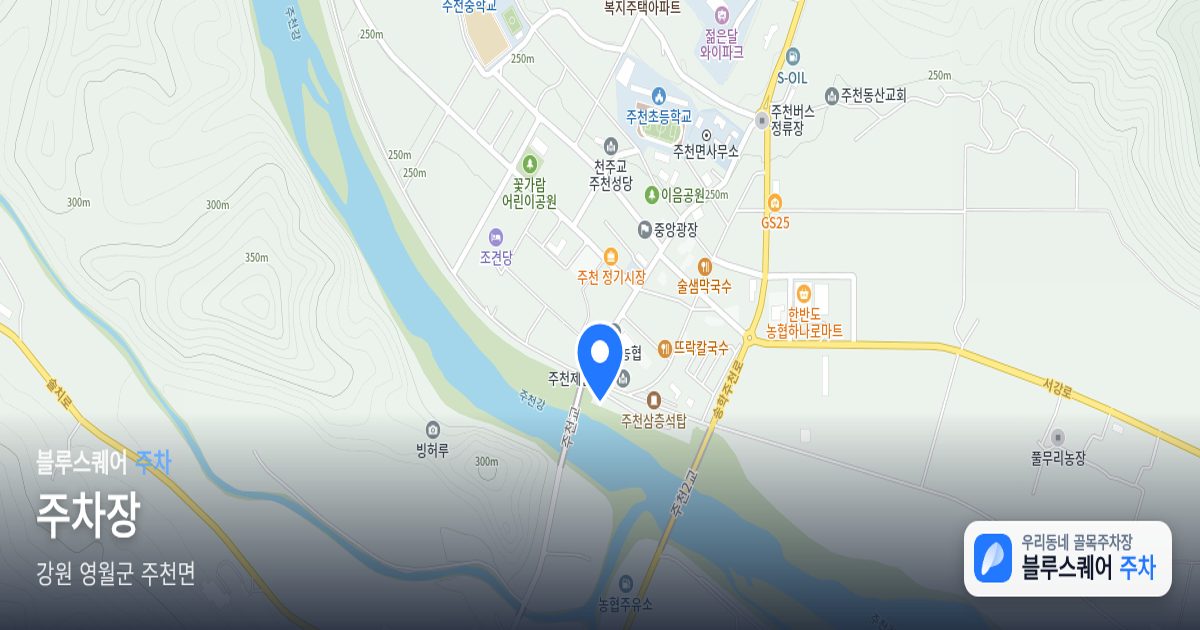 주차장 위치 지도