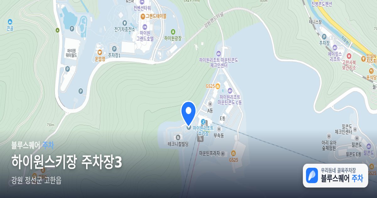 하이원스키장 주차장3 위치 지도